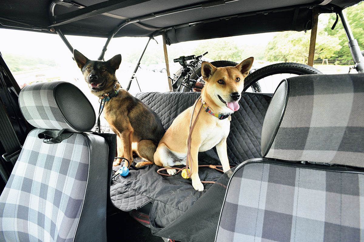 後席は愛犬たちの指定席。左の黒っぽいのがシエル、右がキング。今年の2月、山口県で保護された2匹を山内家へ迎えた。後席の後ろのわずかな荷室には自転車が積まれている。