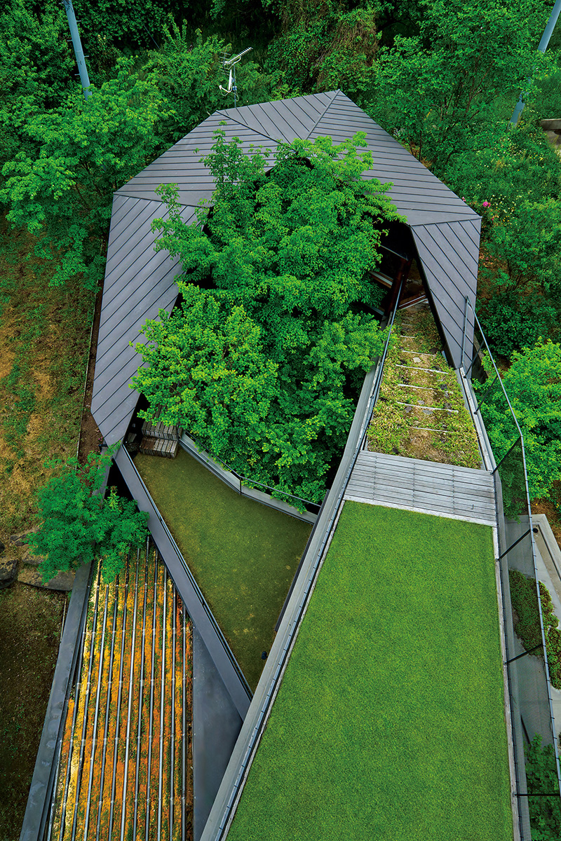 なんと家の真ん中に森がある！ 自然を囲むように建てられた総延長80