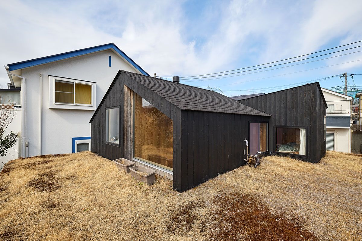 屋根上の芝生は、あえて無造作に育てている。大きなガラス部分は、吹き抜けの窓。