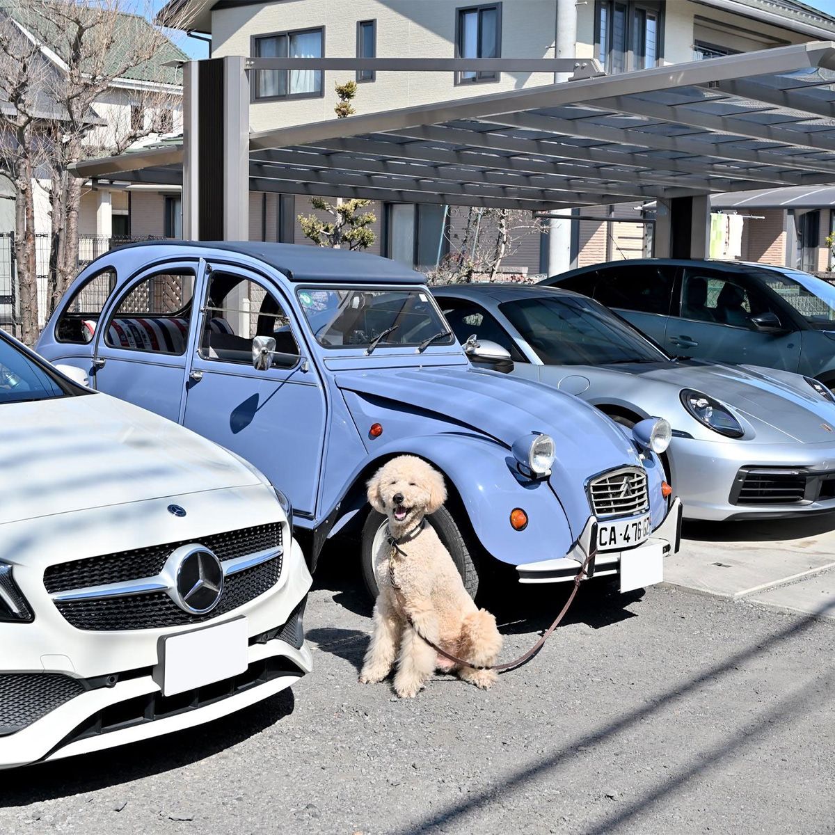 愛車と愛犬に囲まれて・・