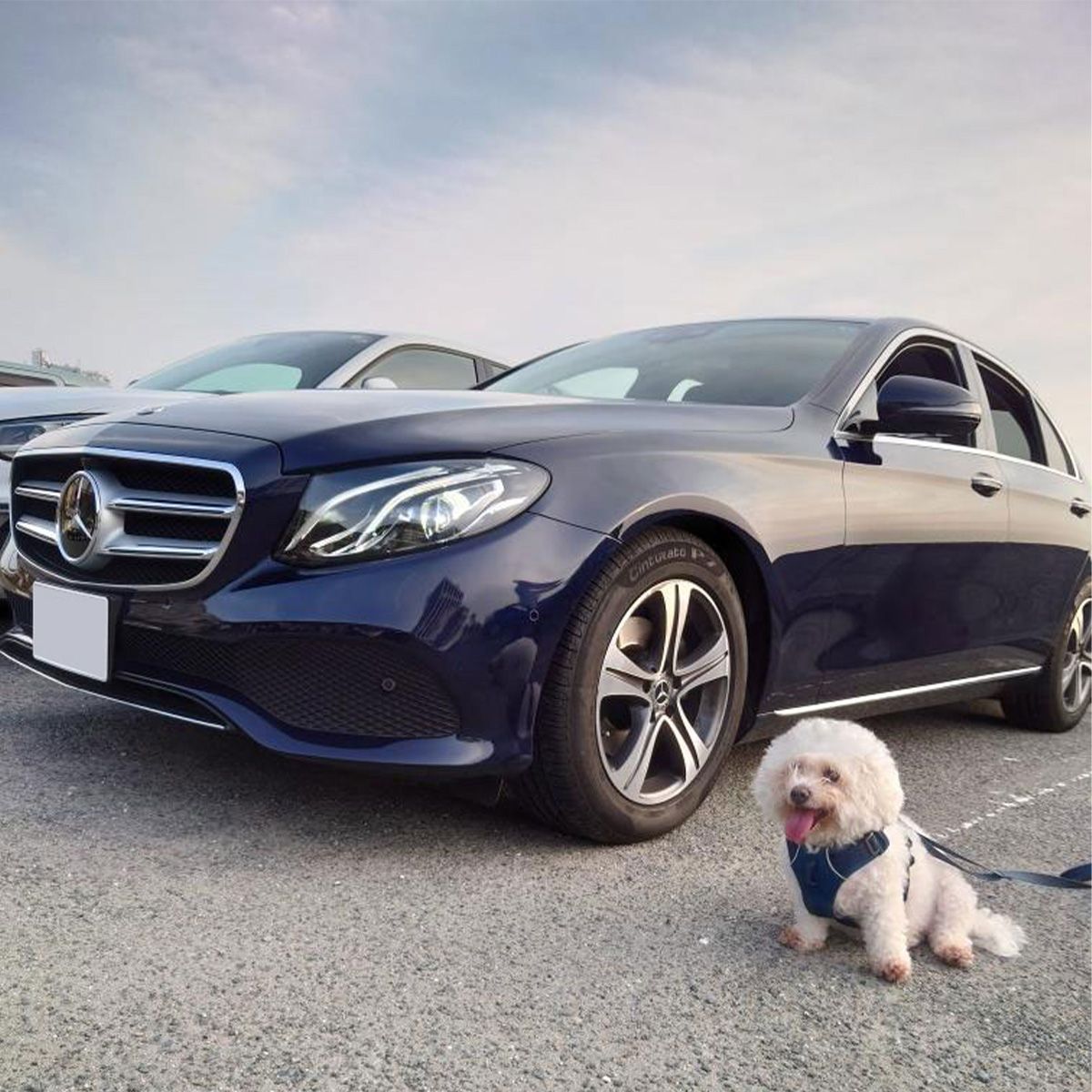 葉山に到着して海岸へ向かうところ。