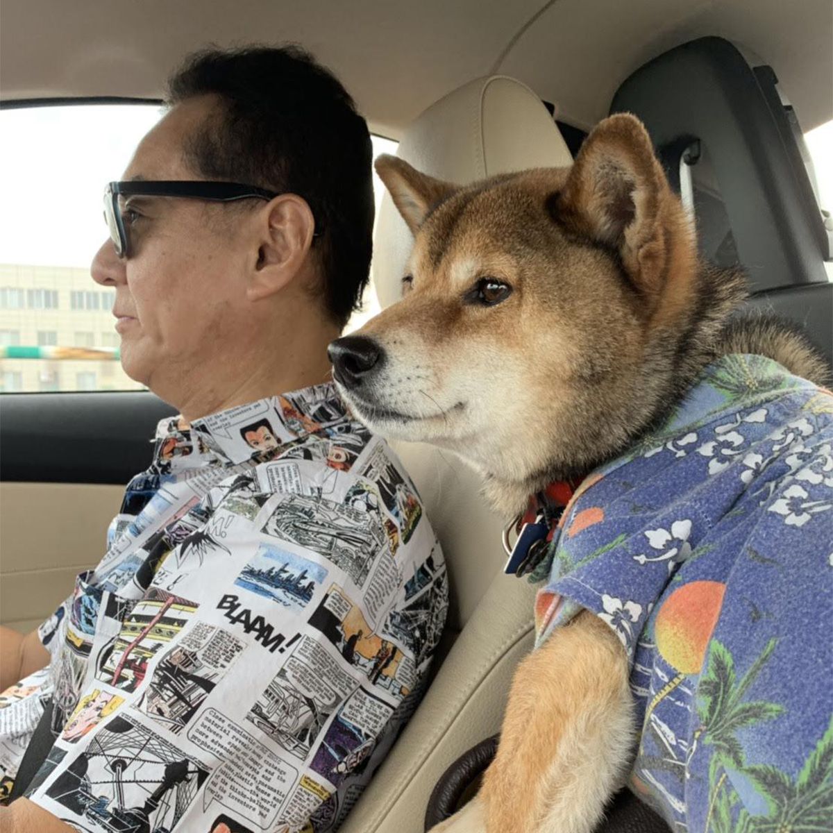 小次郎をナビゲーターにしてドライブ(笑)