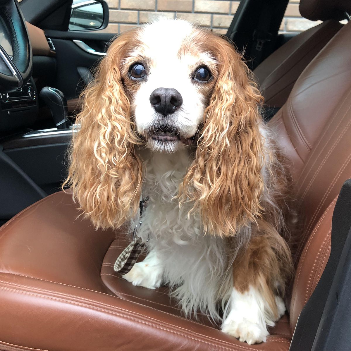 はよ行こうやって言うてるようです。