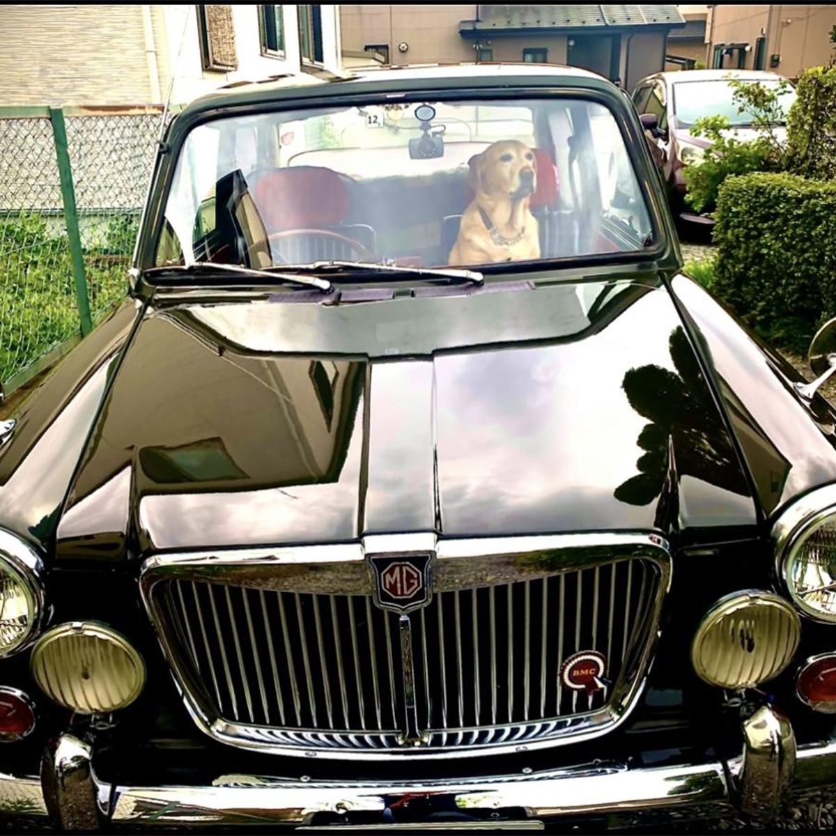 さてお出かけです。