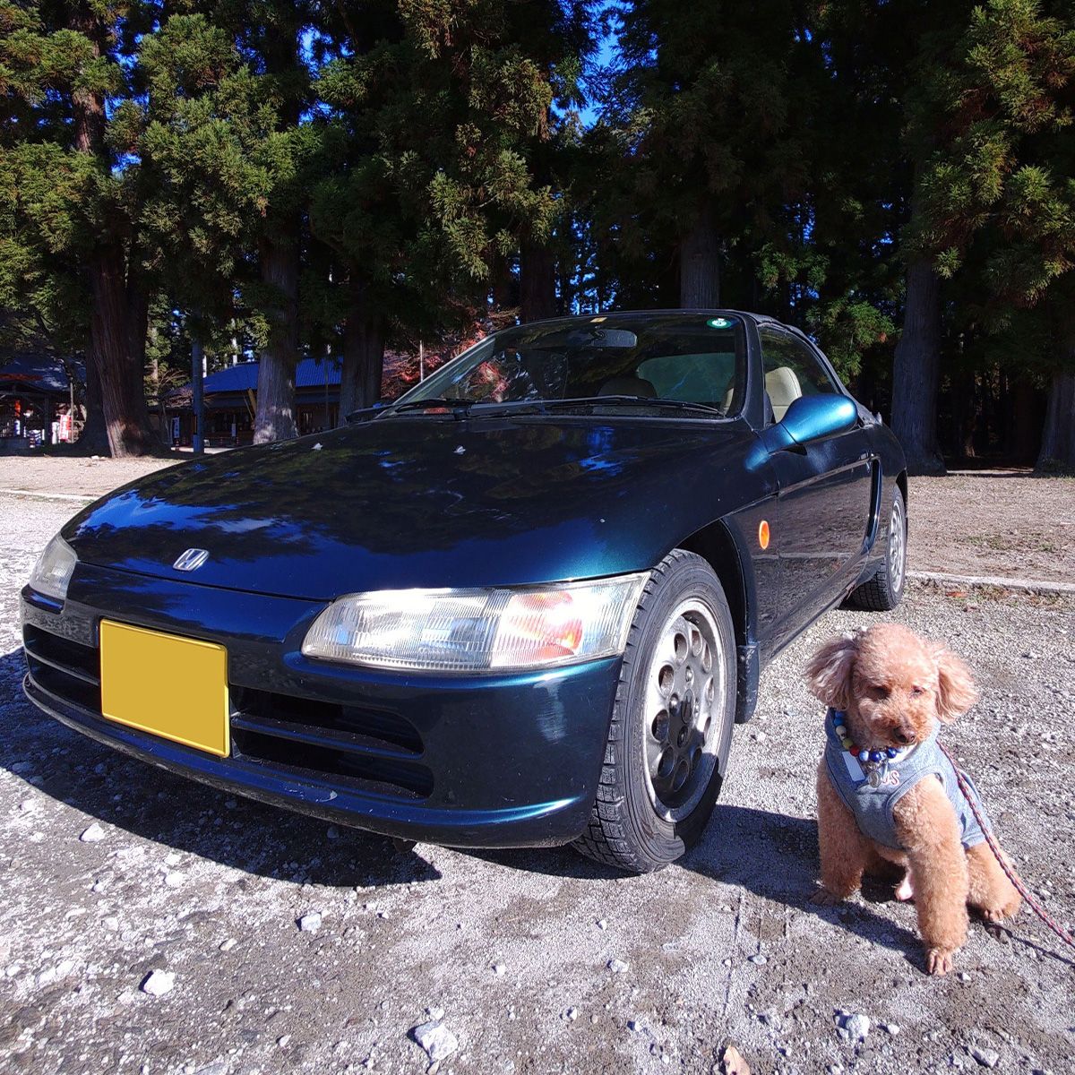 「我が愛車」の前でバッチリ決めてる積もり。ハコ乗り上等も相俟って、気分はもうヤンキー。