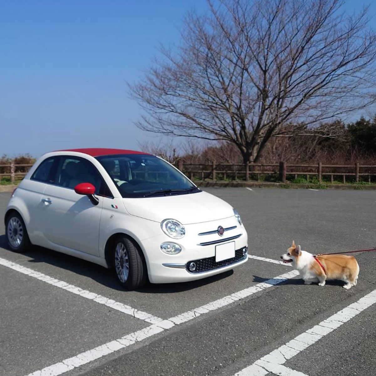 待たせたね！