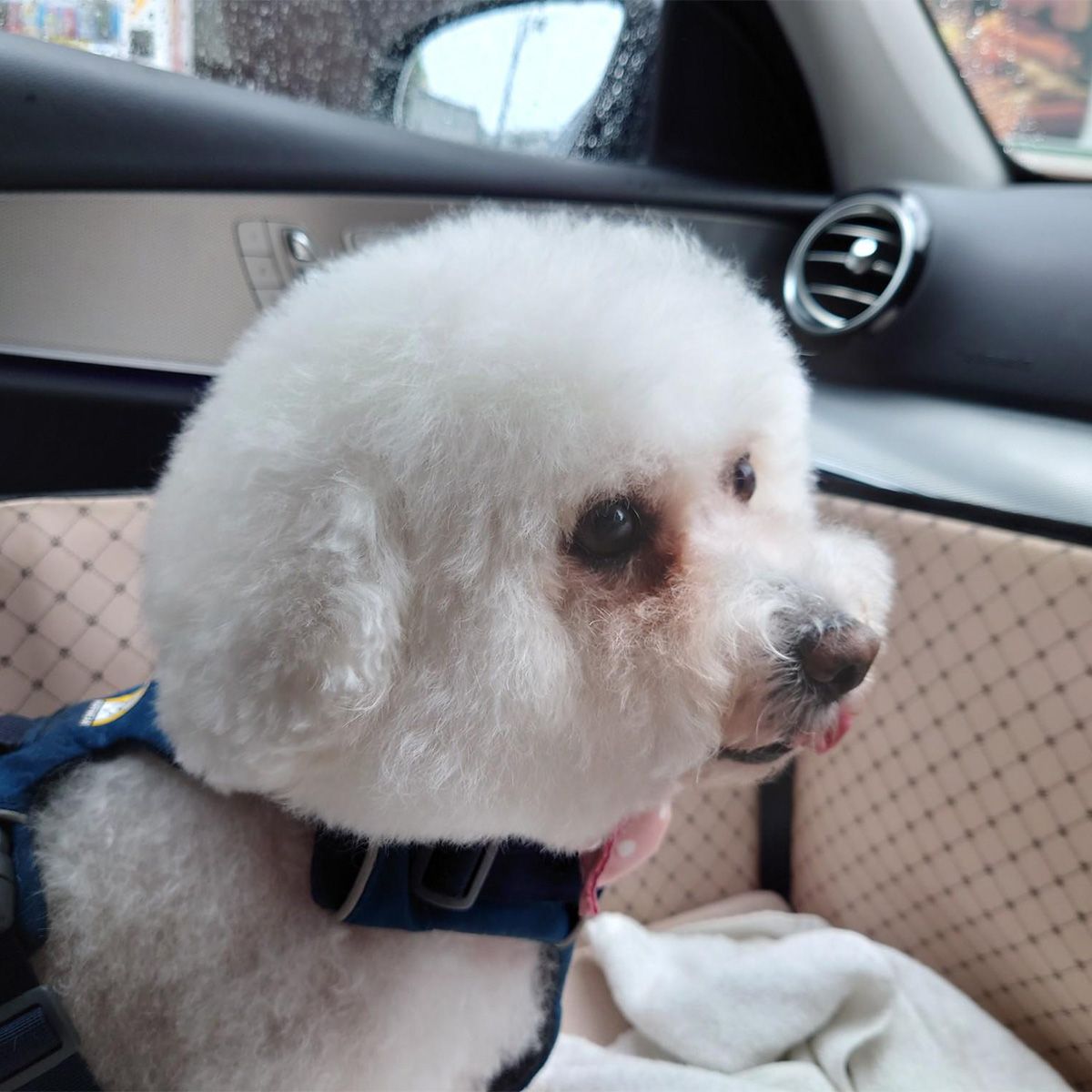 葉山の海岸へ向かうところ。