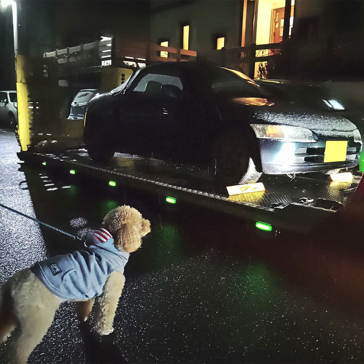 別れが信じられないかのように、ドナドナされる盟友を一心に見つめ続けるワンコ。この姿にはホント心が傷みました。