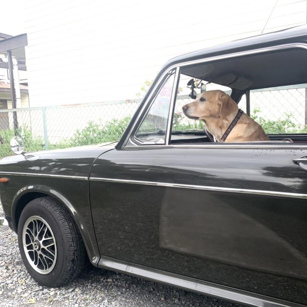 マッチボックスのミニカーと同じような感じです。