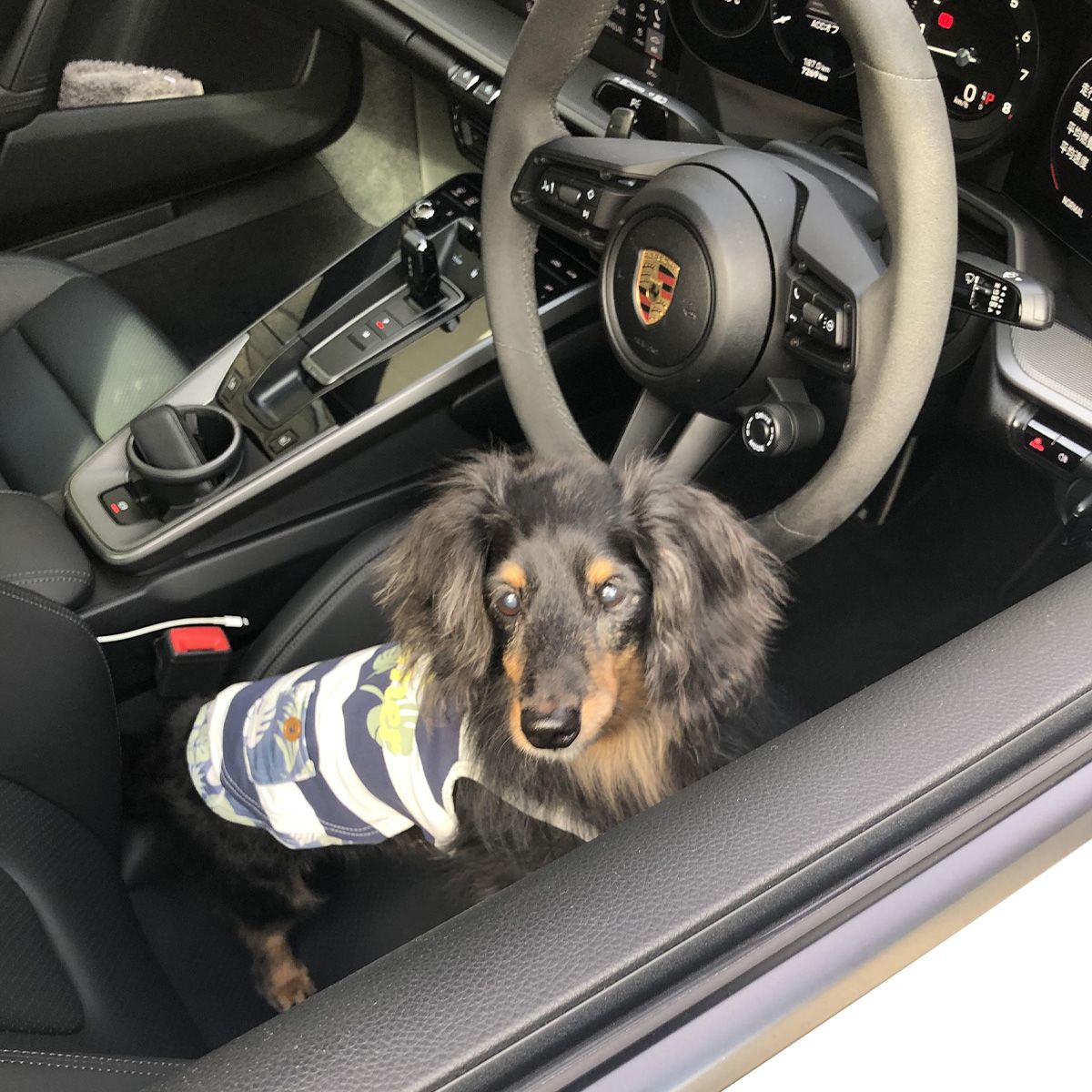 念願の911を愛車に迎え愛犬との記念撮影