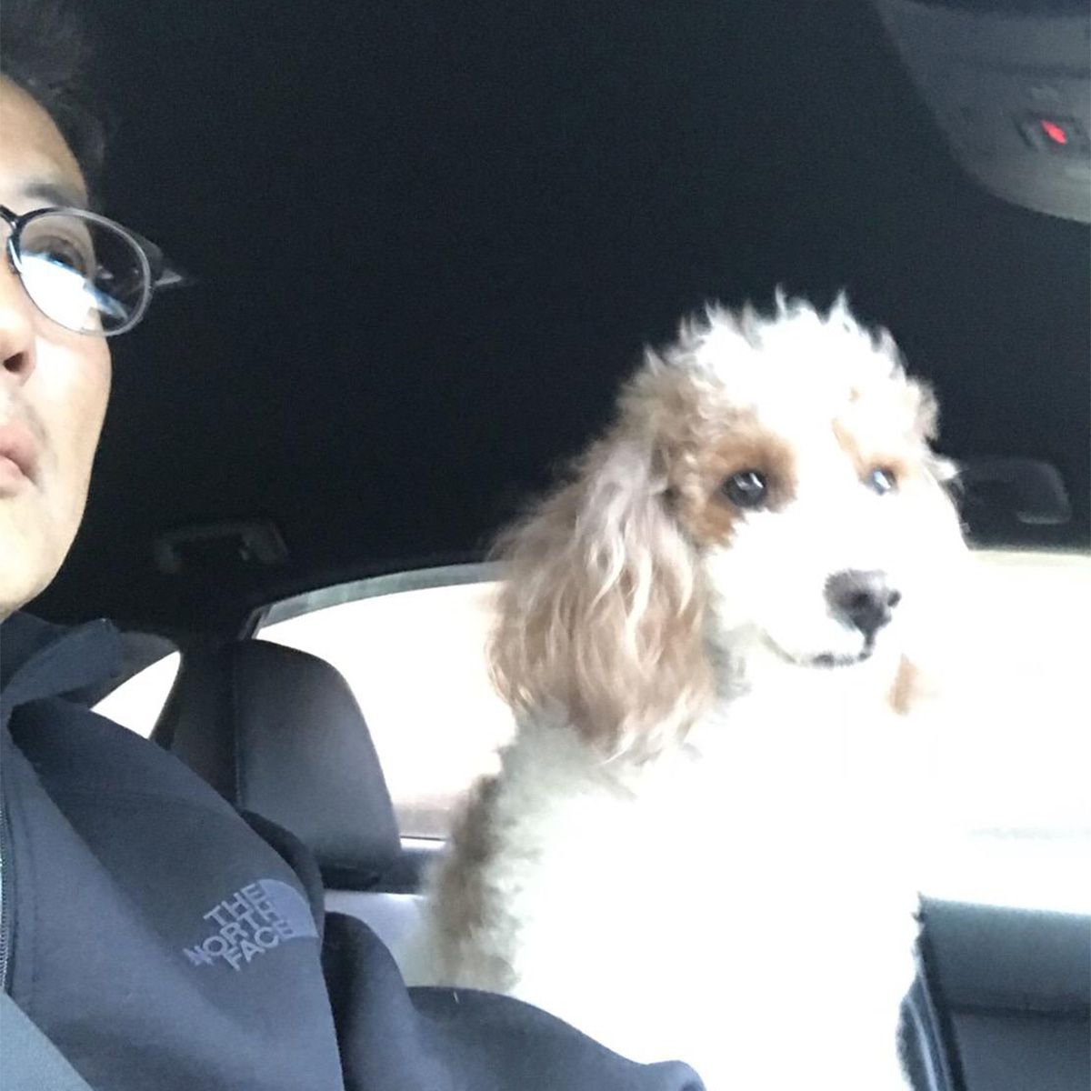 助手席はいつもモッちゃん