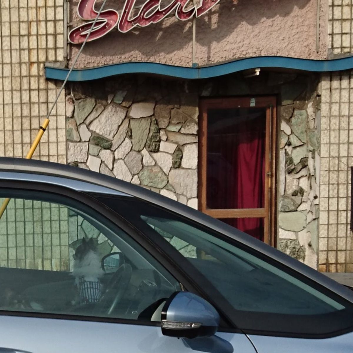 車内で 周辺を常に監視してくれています。 頼もしい番犬です。