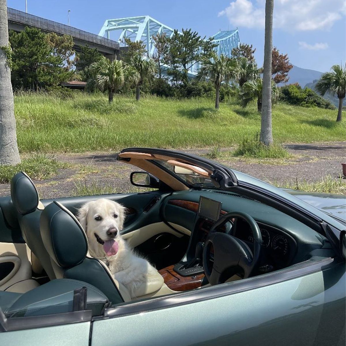  私のドライブコース生月大橋のパーキングです。生月島には車のコマーシャルにもよく使われるサンセットロードという快適なコースがあります。昔は故高橋国光さんがバイクのツーリングに来られてました。