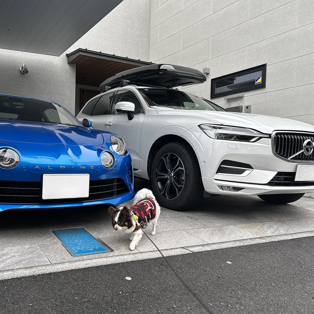 今日はどっちで行くの？