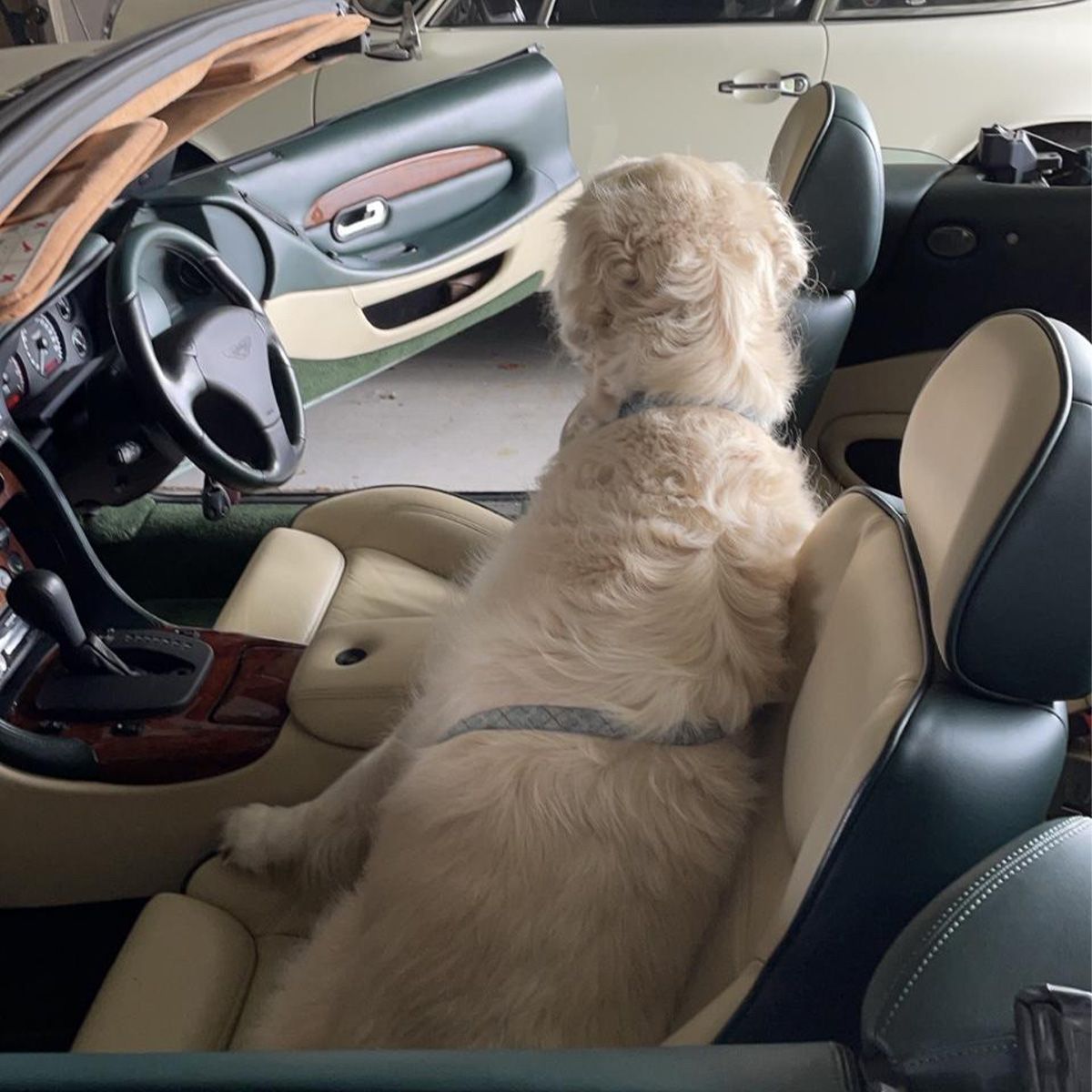 とにかくガレージに行くと他の車には目もくれず指定席にまっしぐら。