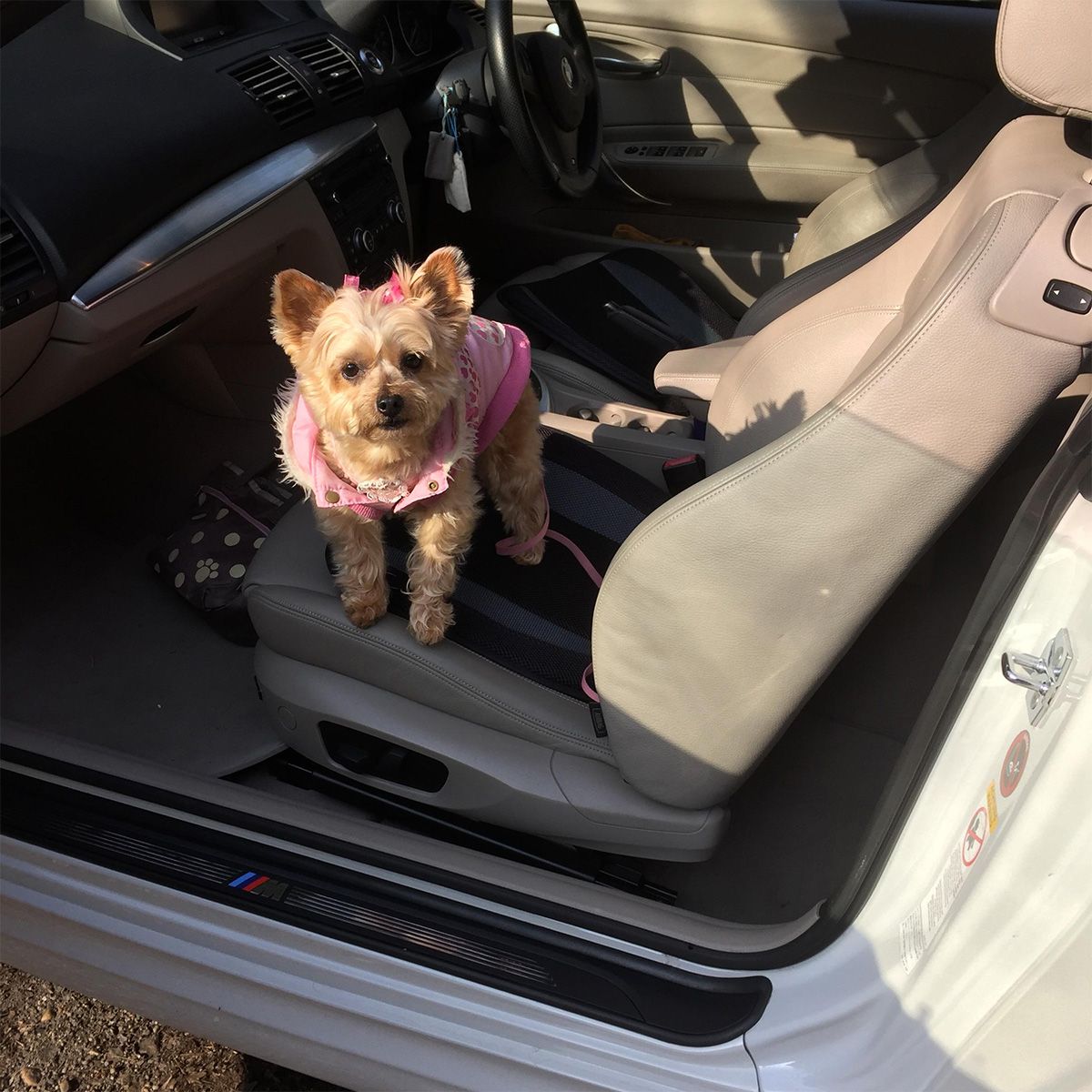 ドライブの休憩中に撮影