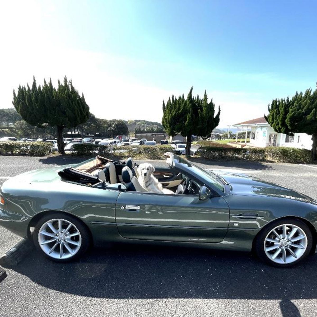 最近の獰猛でパワフルなスタイルより私の様な年寄りはイアンカラムのソフトなデザインと何より田舎道を走りやすいサイズが気に入ってます。