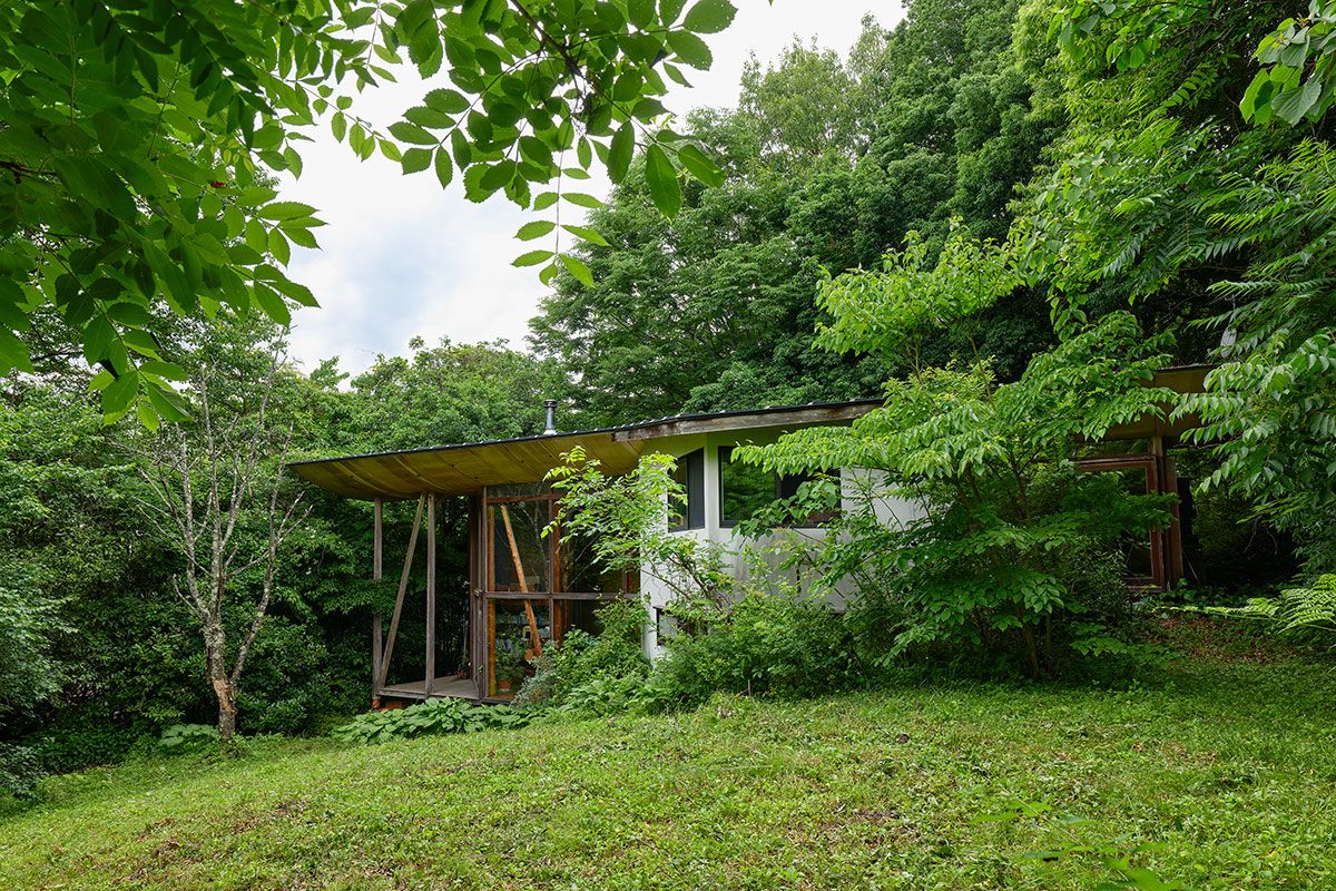 敷地の南側からの景色。左手の西に向かって下がっていく斜面に建っている。木々に囲まれた森の中の一軒家の雰囲気。