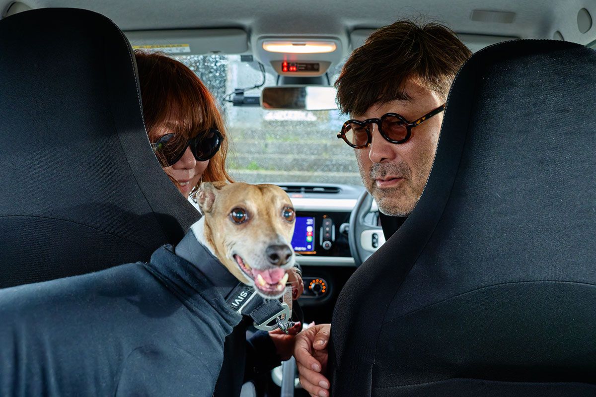 これまで3匹飼ったイタリアン・グレイハウンドの中で、ジンくんは少しクルマが苦手。