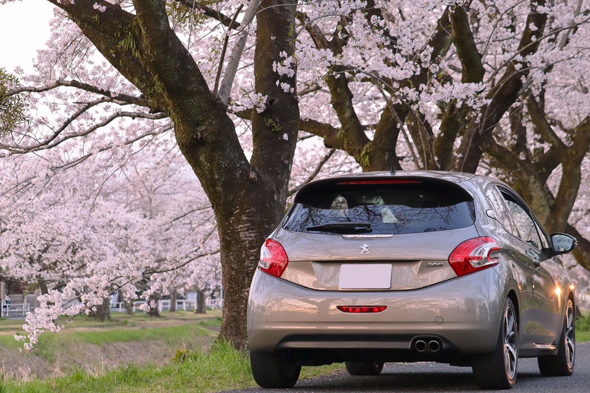 カメラも趣味の野口さんは、愛車との想い出を自ら写真に収めている。208GTはすべての操作系が軽く滑らかで、足さばきも柔軟なので楽に乗れるという。